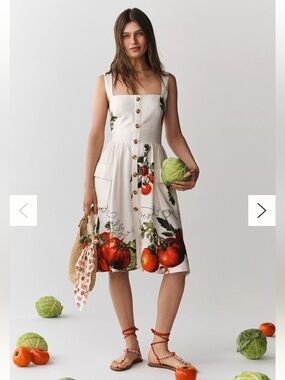 NWT! Anthropologies/Maeve Button-Front Fit & Flare Tomato Midi Dress XS